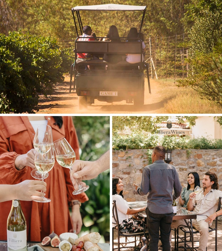 Stellenbosch Wine Farms Villiera