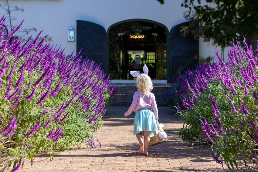 Easter Steenberg