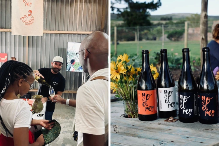Yo El Rey Rose Wine Tasting