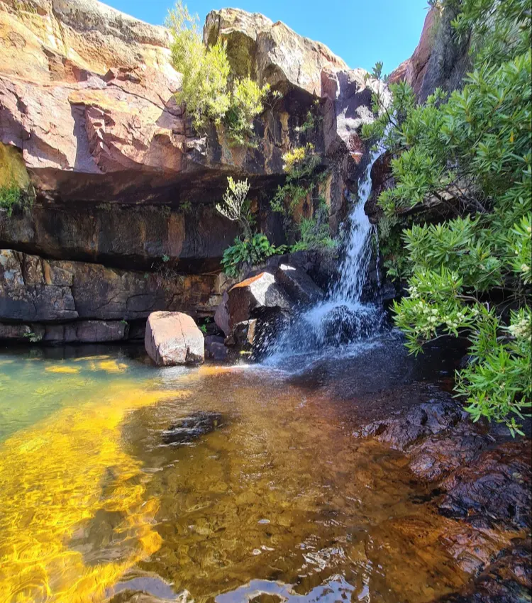 Cederberg Hikes Disa Pools