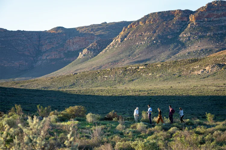 Cederberg Hikes