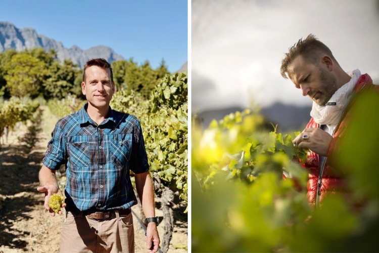 Haute Cabriere Pierre Jourdan Winemakers