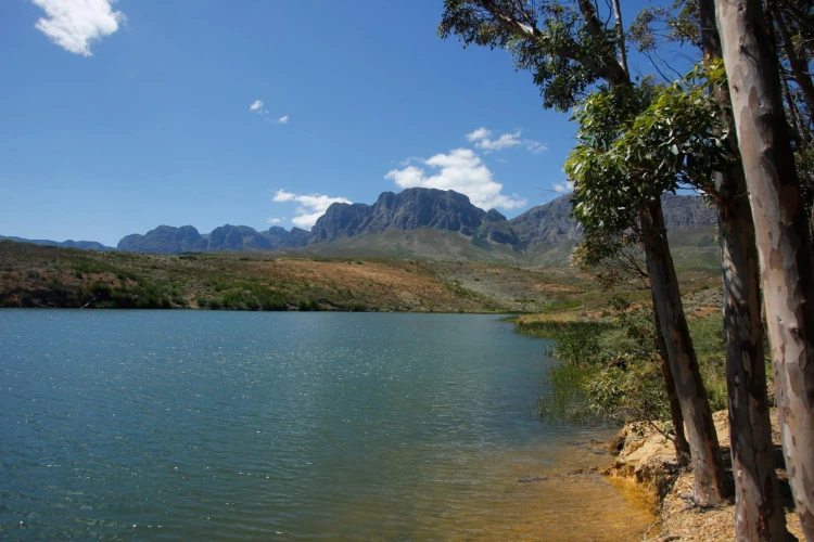Vergelegen Venue Lake