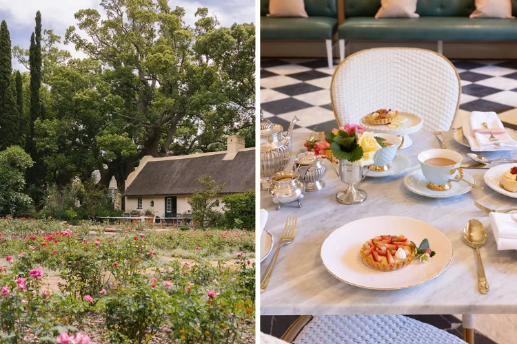 Vergelegen Venue Rose Terrace Tea Room