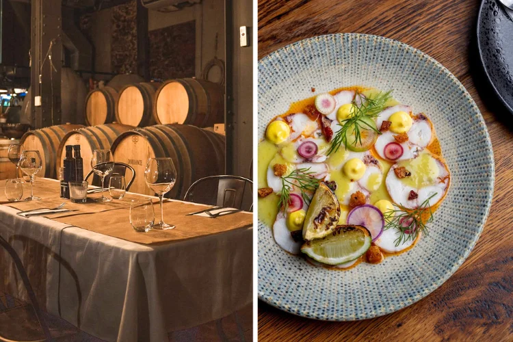 Vusi Ndlovu Bouchon