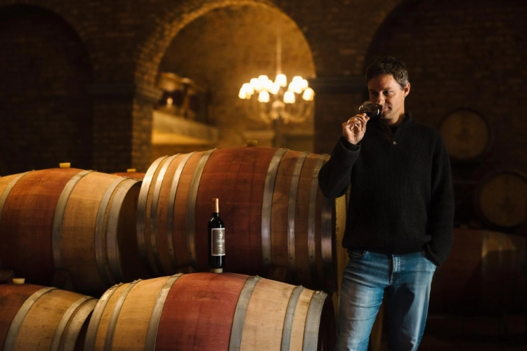Waterford Antigo Cellar