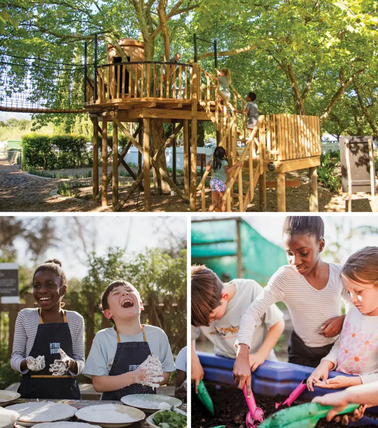 Winter Activities Tree House Boschendal