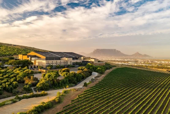 Durbanville Hills