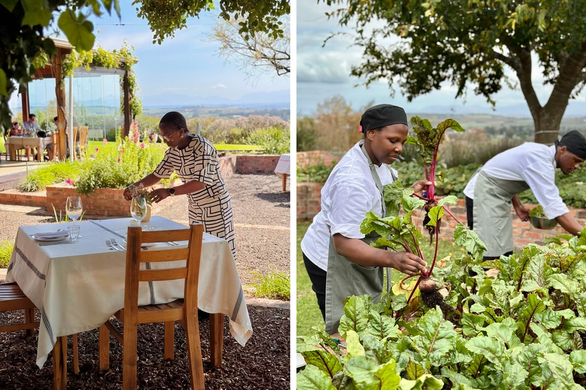 Harvest Tables Rykaarts