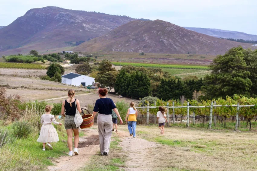 Hasher Family Wines Fynbos Foraging