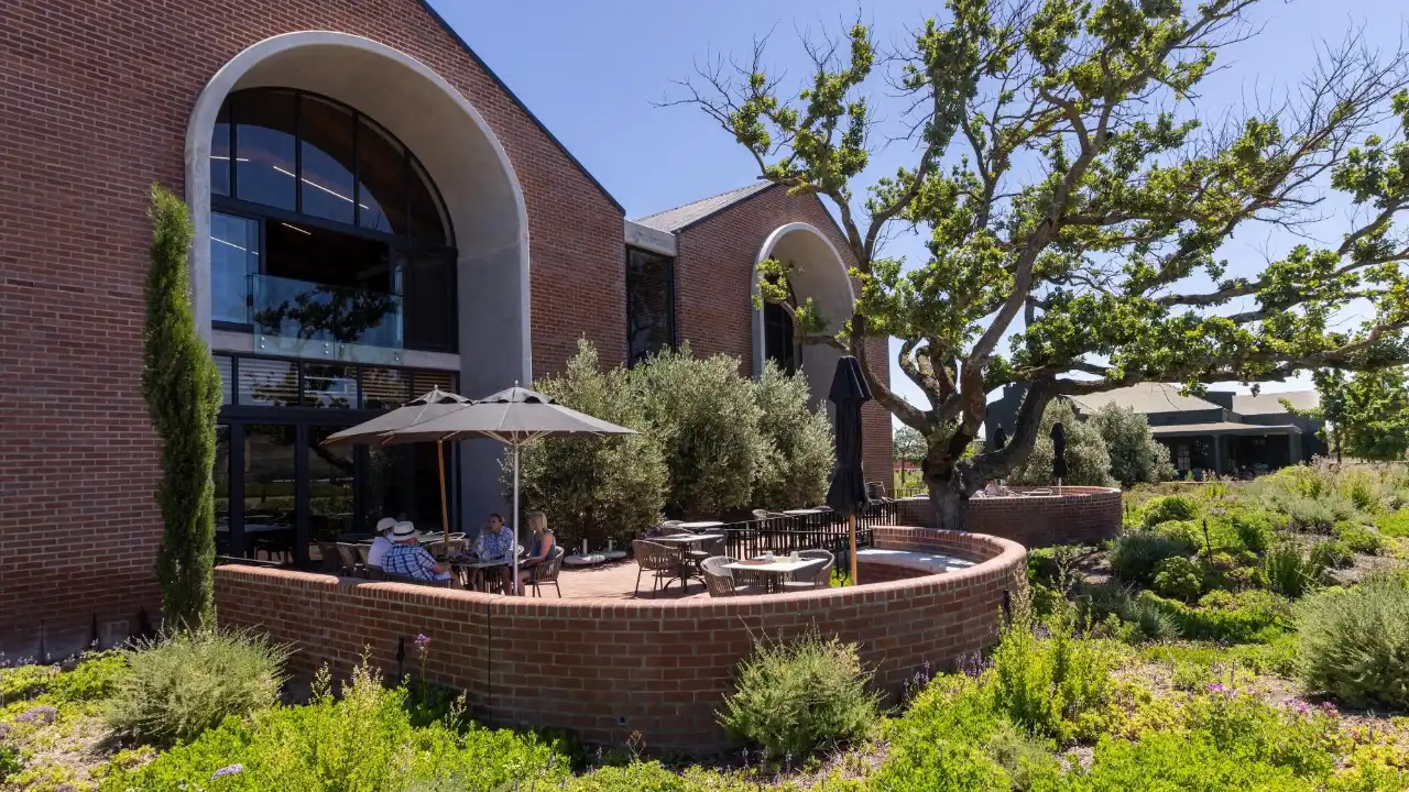 Bacco Estate Wine Tasting