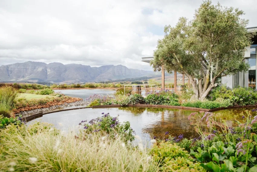 Cavalli Garden