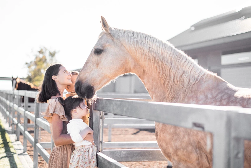Cavalli Stable Tour