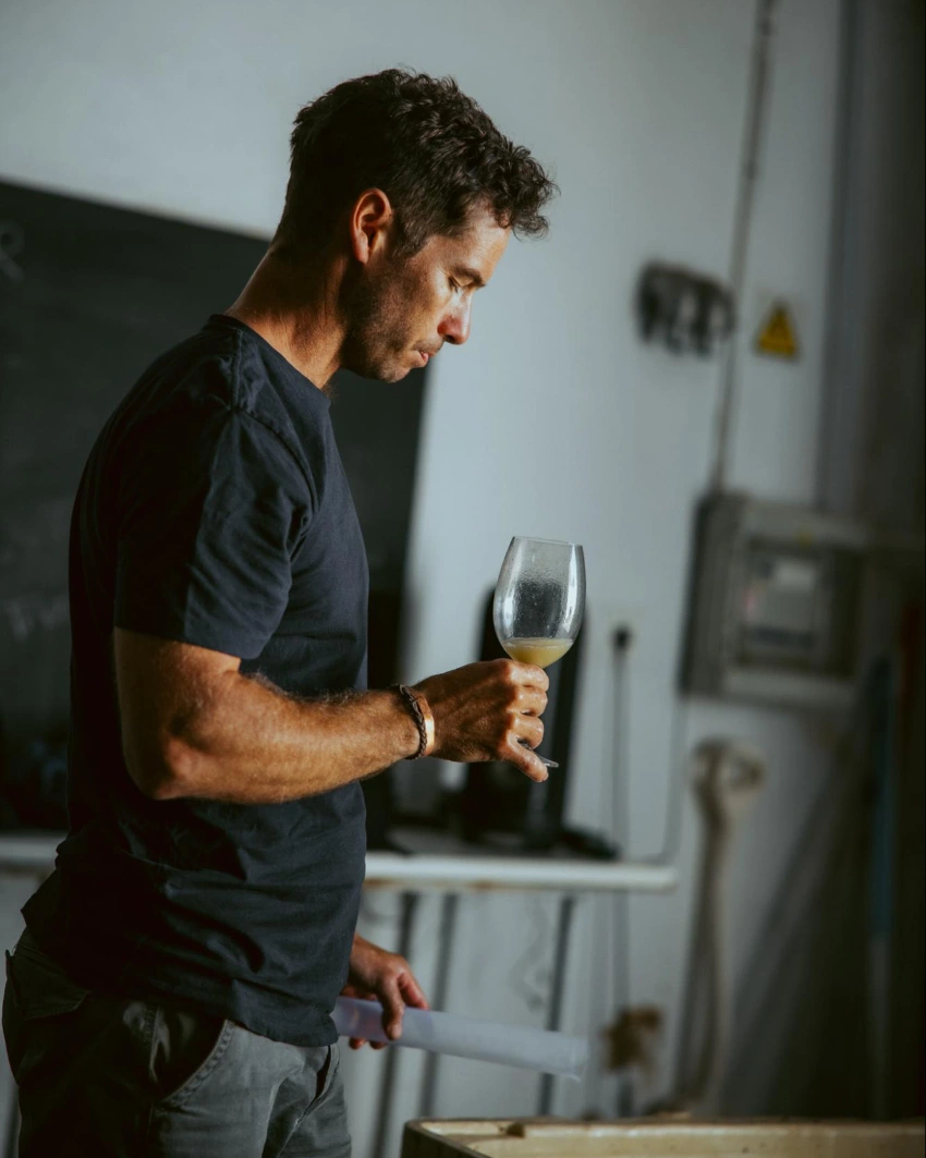 Intellego Wines Pink Moustache WInemaker