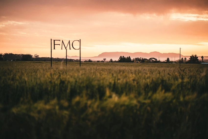 Ken Forrester Sculpture Garden: FMC Vineyard