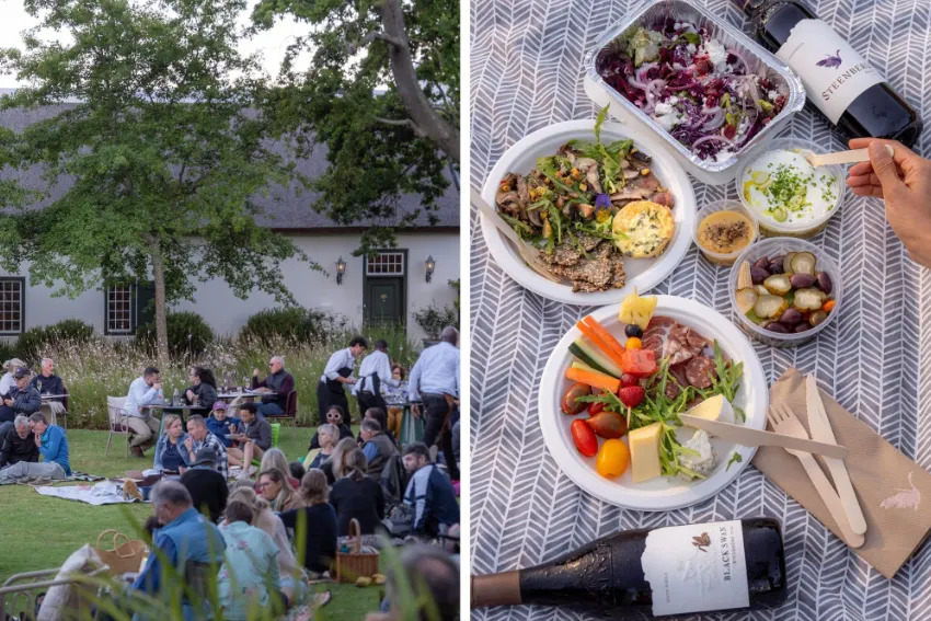 Steenberg Tryn Jazz Picnic Food
