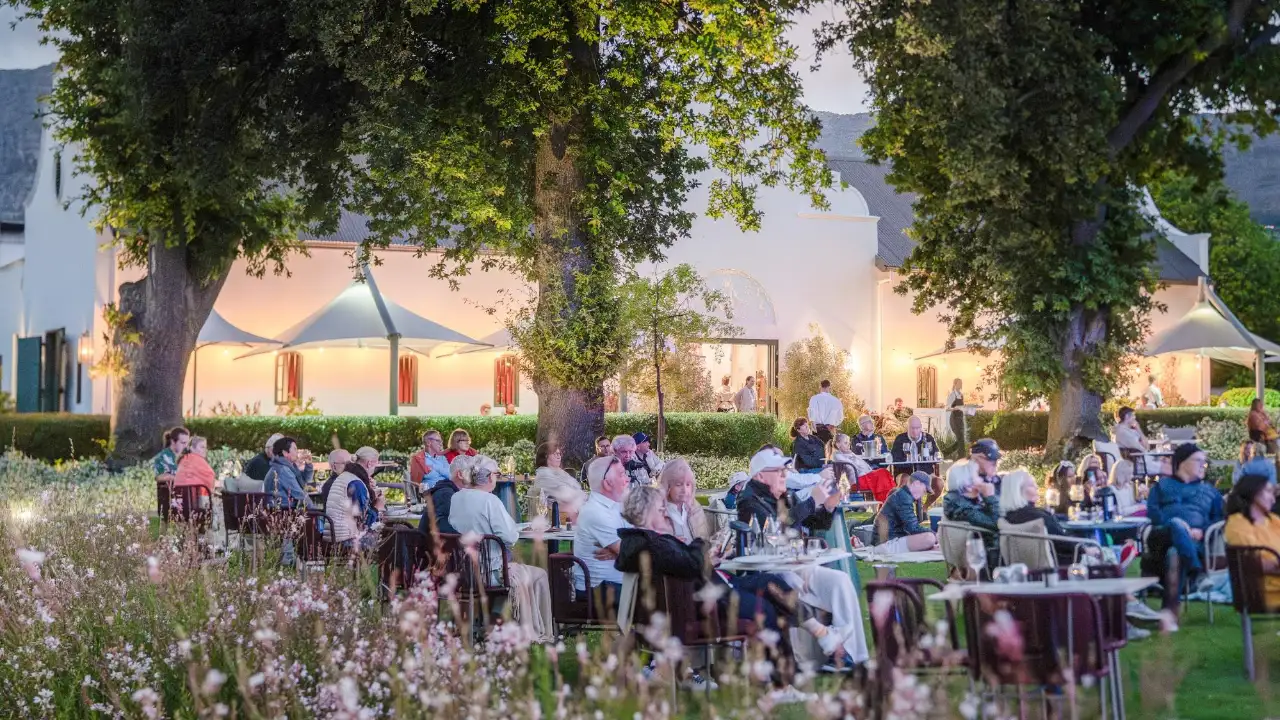 Steenberg Tryn Jazz Picnic