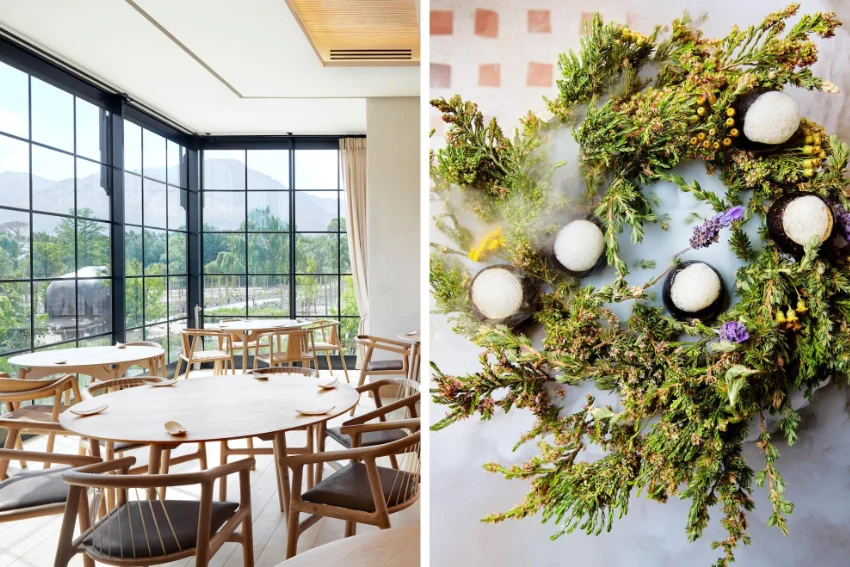 Best Restaurants La Petite Colombe