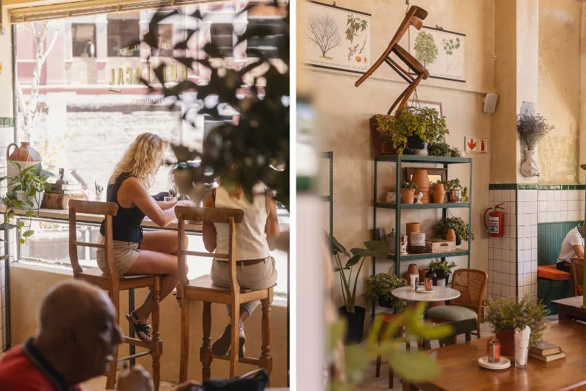 Our Local Sea Point Interior