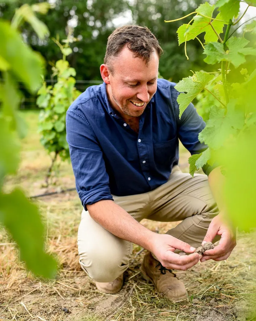 Thistle And Weed WInkel Brut: Farming