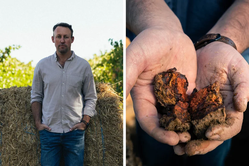 Thistle and Weed Vinkel Brut Terroir