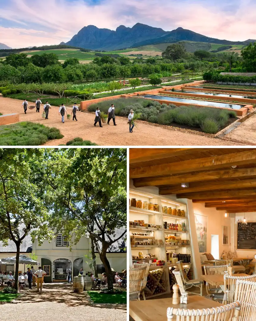 Jarryd Segal: Franschhoek