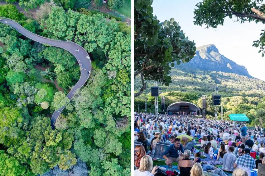 Jarryd Segal: Kirstenbosch
