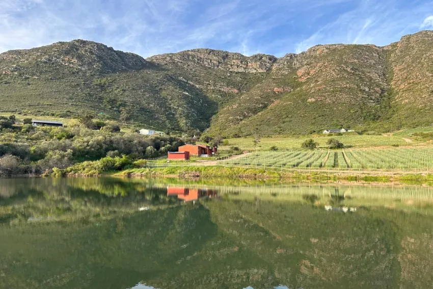 Testalonga Mielia Green Farm