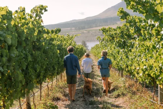 Hasher Wines