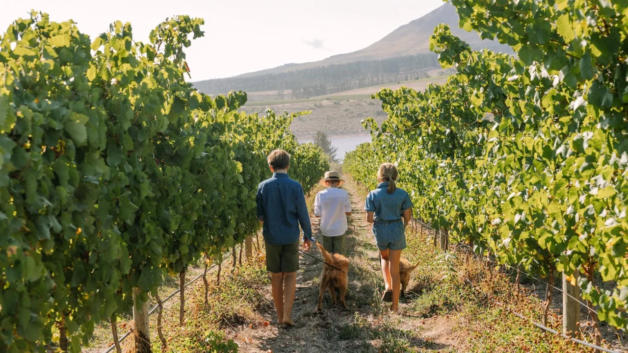Hasher Wines