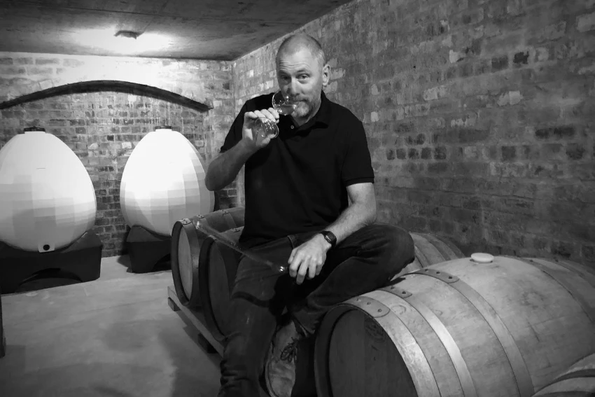 Yardstick Sauvignon Blanc Cellar