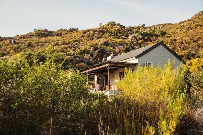 Zizipho Poswa Cederkloof Botanical Retreat
