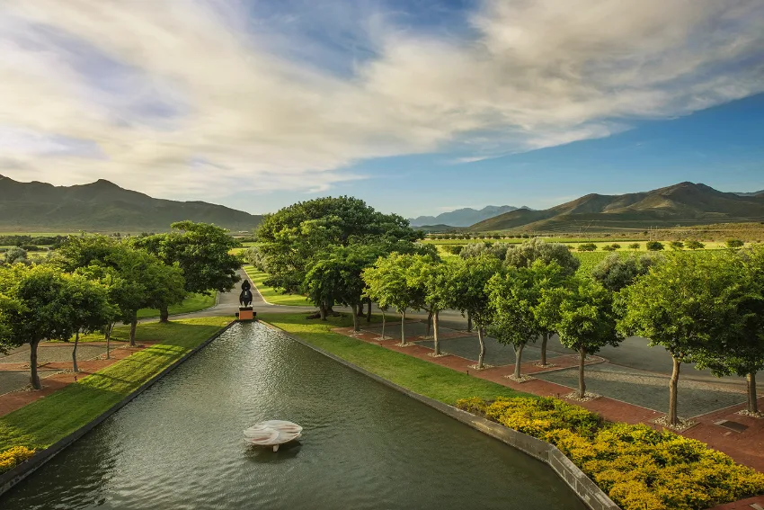 Pieter Ferreira Graham Beck Estate
