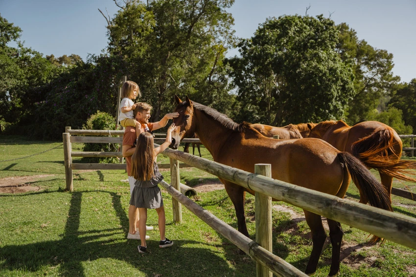 AfriCamps at Oakhurst Horses