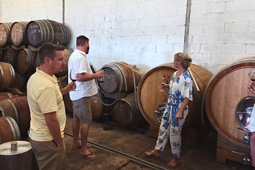 Sijnn Wine Cellar