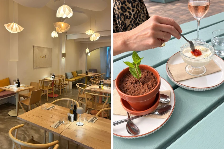 New Restaurants Localino