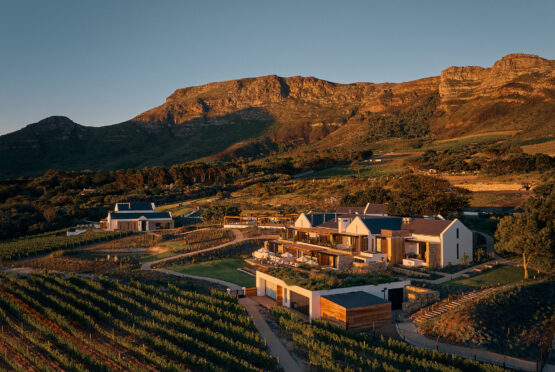 The Alexander Estate Vineyard Views