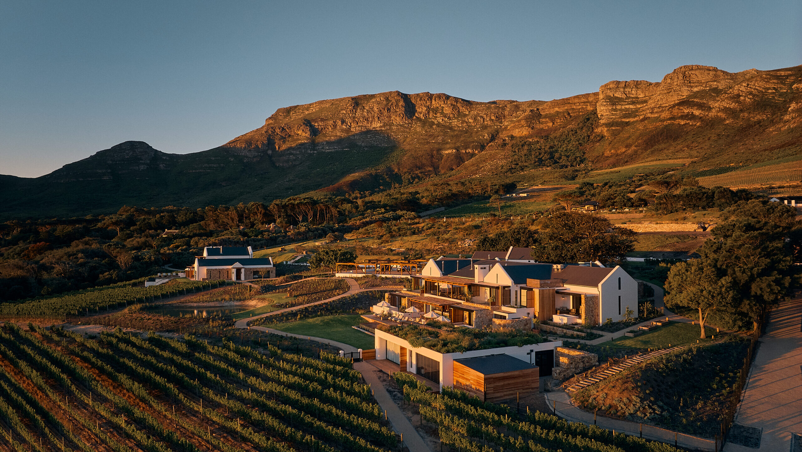 The Alexander Estate Vineyard Views