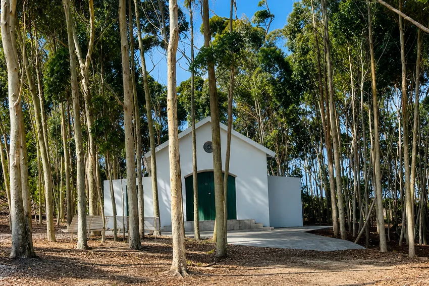 Celestina Agulhas White WIne Cellar