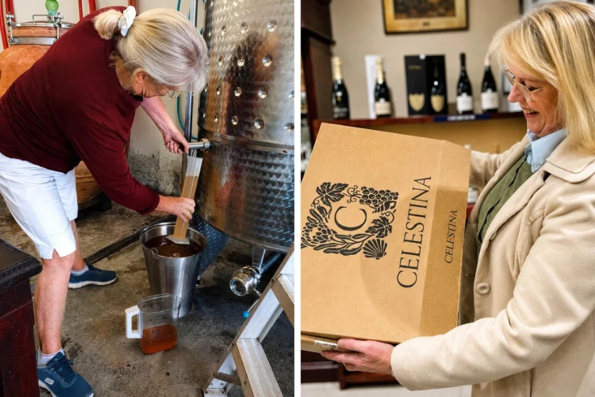Celestina Agulhas Winemaking