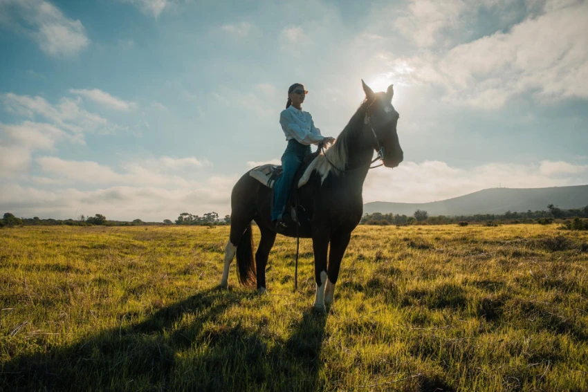 De Wildeveldt Horse Riding