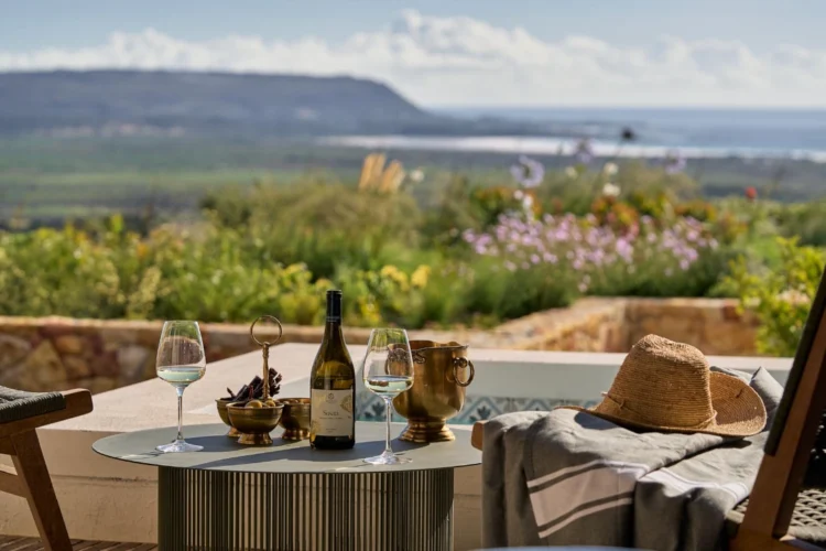 Alexander Vineyards Susara Wine with Views