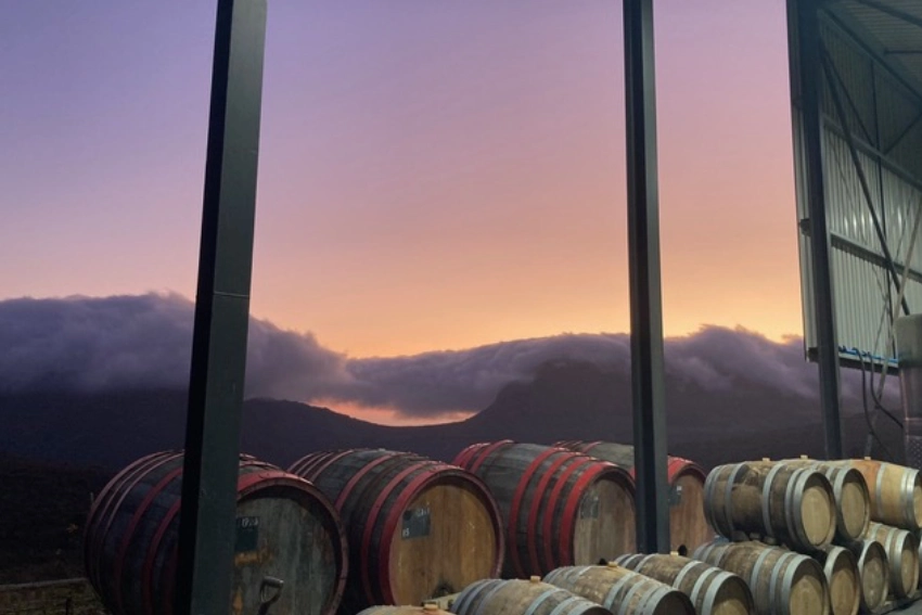 Vino pH Barbera Barrels