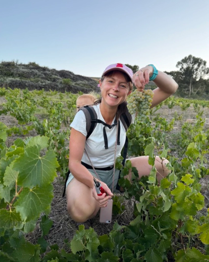 Vino pH Barbera Winemaker