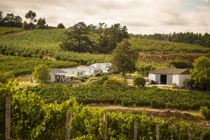 Off The Record Chenin Blanc Eligin
