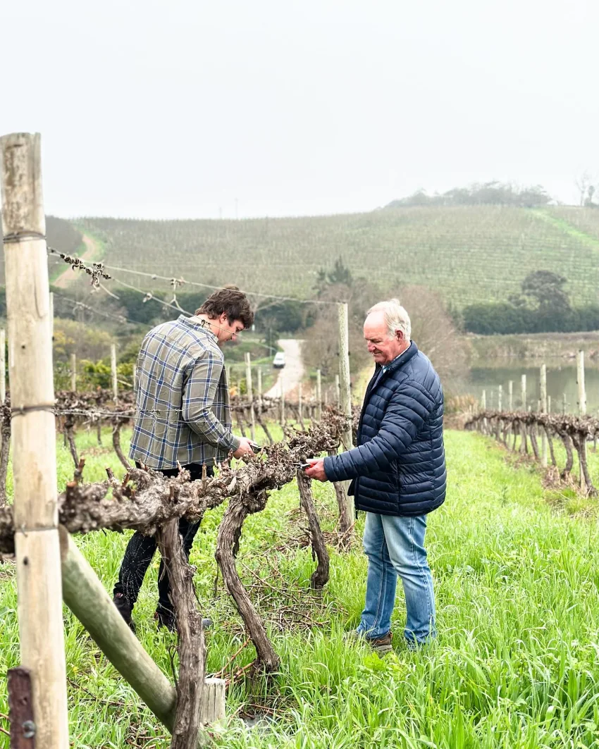 Off The Record Chenin Blanc Farming