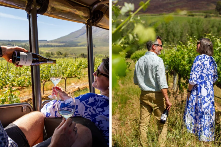 Waterford Wine Drive