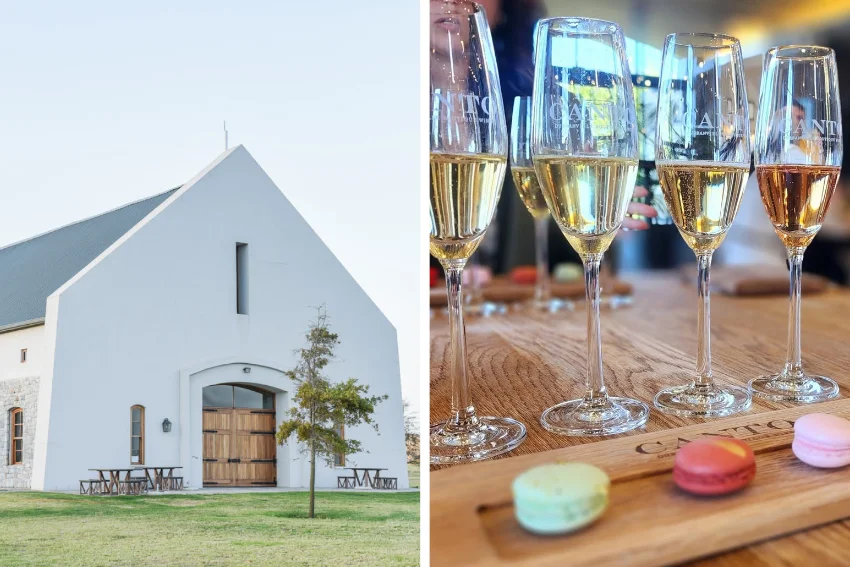 Cap Classique Tasting Canto Wines