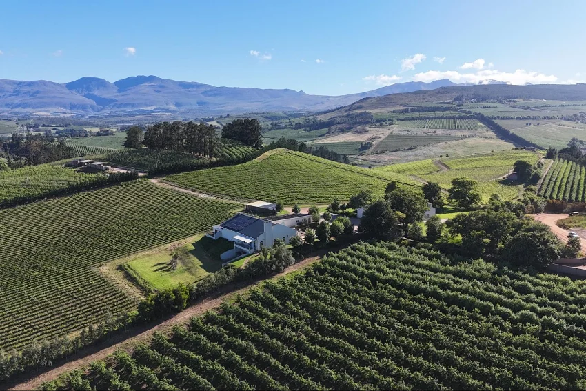 Cap Classique Tasting Charles Fox