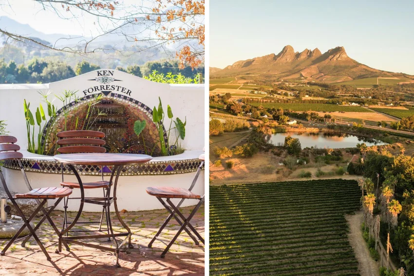 Cap Classique Tasting Ken Forrester